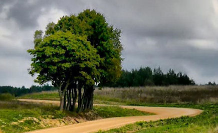Environmental